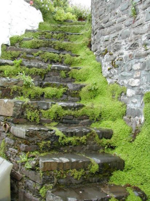 Stiege_Bubikopf_Clovelly.jpg