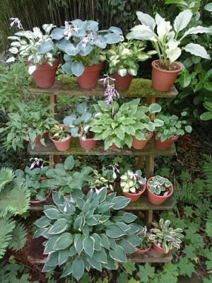_20180625_201052.JPG