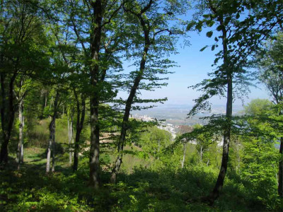 leoklosterneuburg.jpg