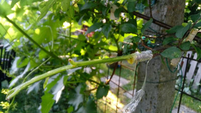 20180626_185144.jpg