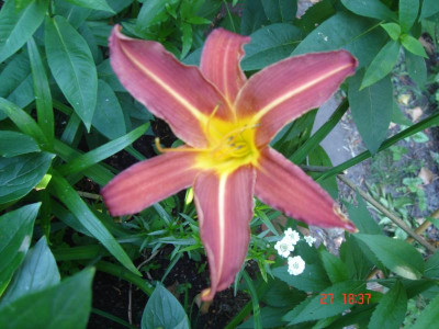 DSC05294.JPG