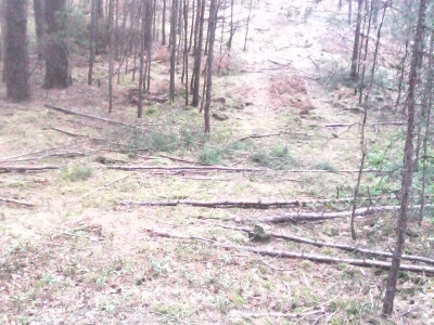 IMG0022A.jpg