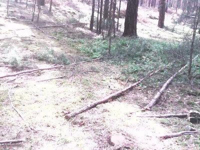IMG0026A.jpg