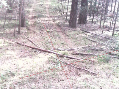 IMG0021A.jpg
