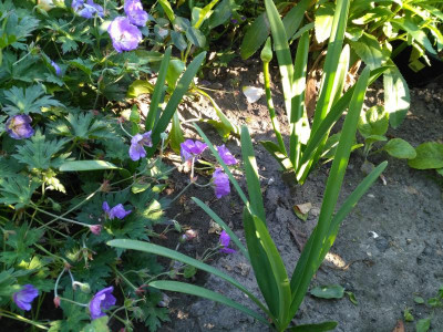 IMG_20180628_091356.jpg