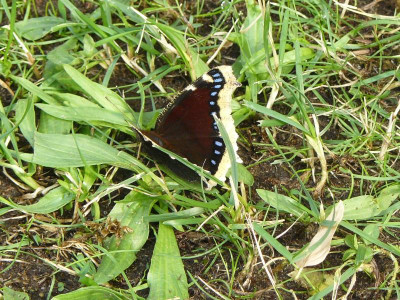 P1250162.JPG
