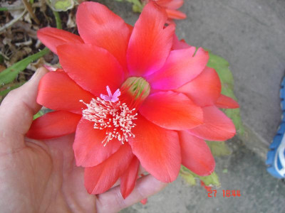 DSC05299.JPG