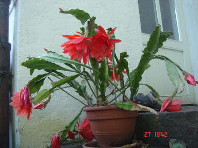 DSC05298.JPG