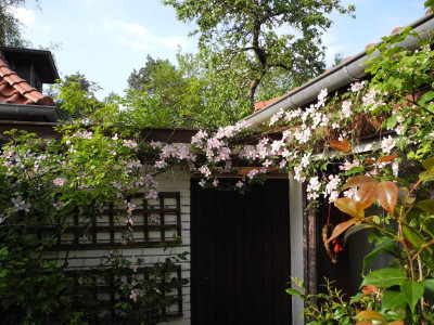 Innenhof 2018-05-12 02.jpg.JPG