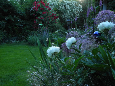 Innenhof 2018-06-06 01.jpg.JPG