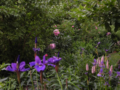 Auenlandweg 2018-05-30 01.jpg.JPG