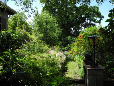 DSCN1456.JPG