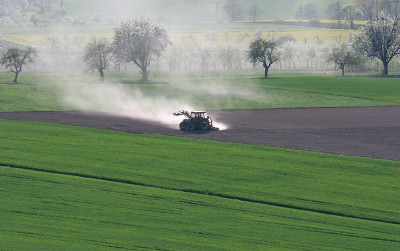 Im-April-der-Bauer.jpg
