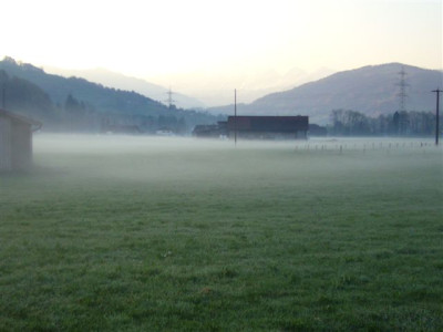 17.04.2007.0.JPG