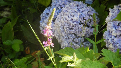 DSCN3338.JPG