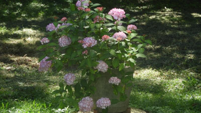 DSCN3265.JPG