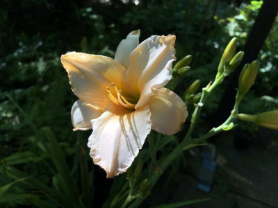 46DB52FA-310C-4BDD-BC49-5F9D0F0F9E6F.jpeg