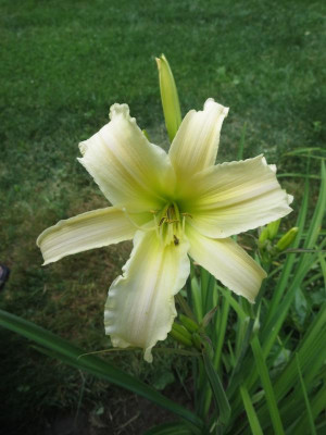 GT11-GA32e_6942.jpg