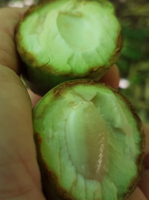 Abwurf_Kern_01072018.jpg