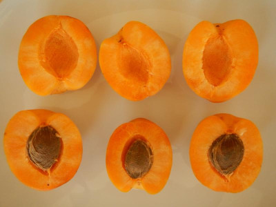 DSCN7884.JPG