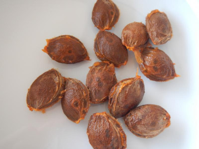 DSCN7888.JPG
