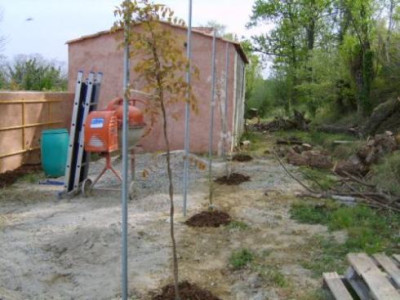 Pergola1.jpg