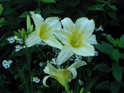 DSCN3428.JPG
