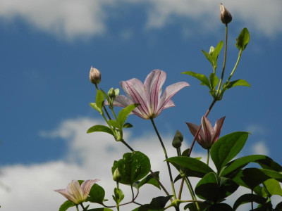 DSCN3435.JPG