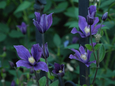 DSCN3433.JPG