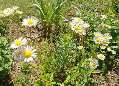 20180703_100232.jpg