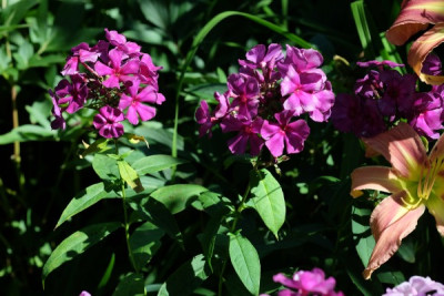 DSCF6505_3308.JPG