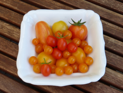 2018-07-03 Tomaten.jpg