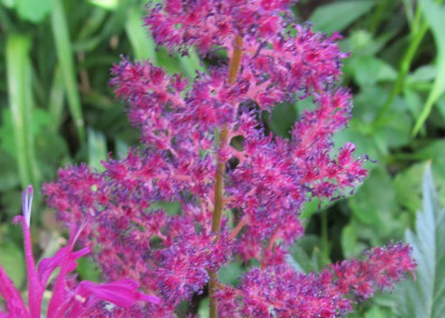 IMG_8092 Detail.jpg