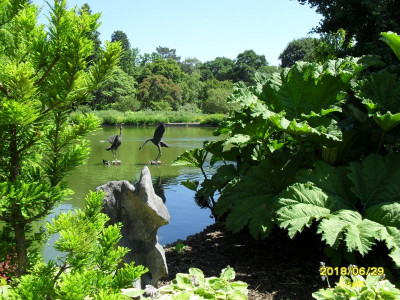 Teich E2018.jpg