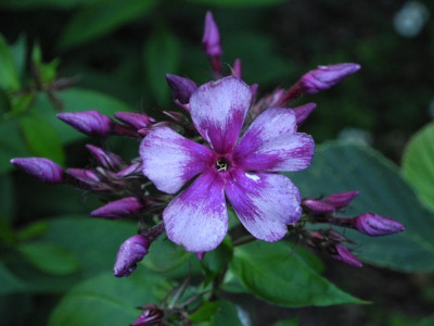 DSCN3420.JPG