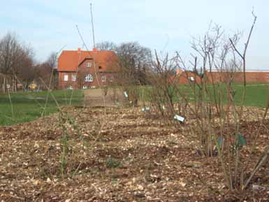 Rosenpark_by_Jocki_2_Kopie.jpg