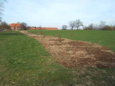 Rosenpark_by_Jocki_Kopie.jpg
