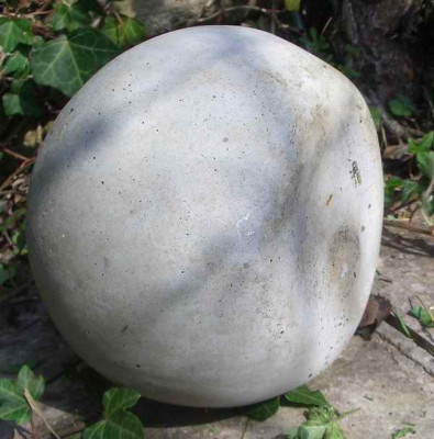 CIMG5740.JPG