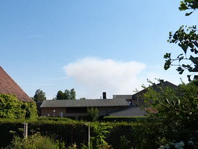 2018-07-04 Rauch.jpg