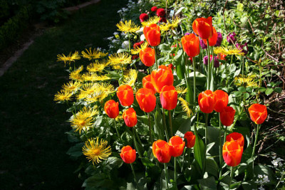 St_170407.jpg