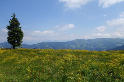 DSC06241.JPG