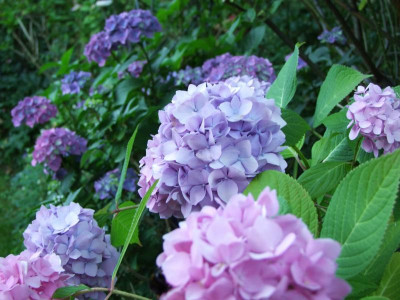 04.07.2018 23-18-15_4147.jpg