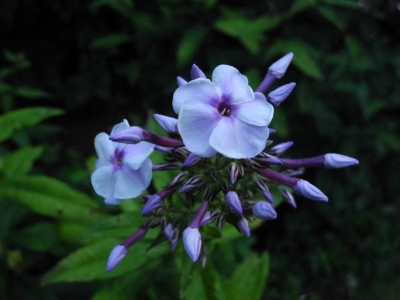 DSCN3491.JPG