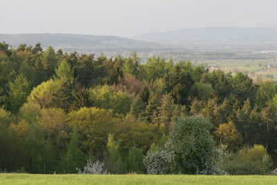 Lieblingsausblick-1.jpg
