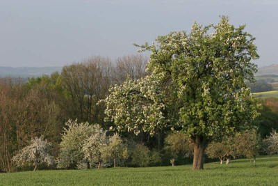 Lieblingsausblick-2.jpg