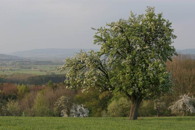 Lieblingsausblick-3.jpg