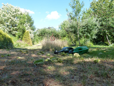 2018-07-06 Gartenimpressionen 1.jpg