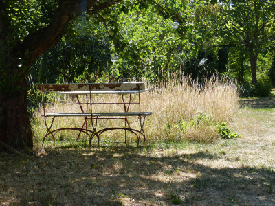 2018-07-06 Gartenimpressionen 2.jpg