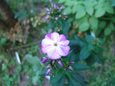 DSC02669.JPG
