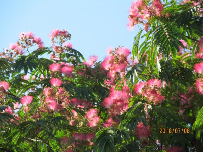 IMG_8684.JPG